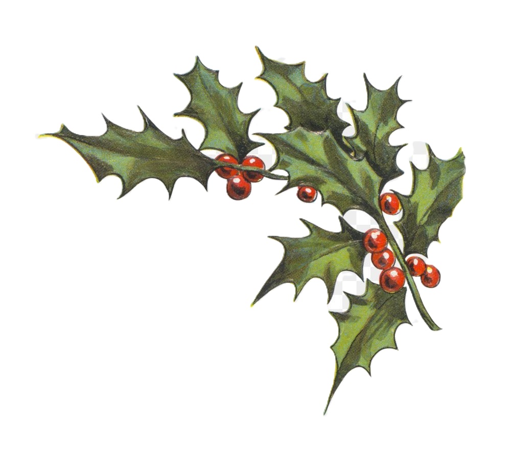 holly png